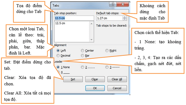 Các tùy chọn cho tab